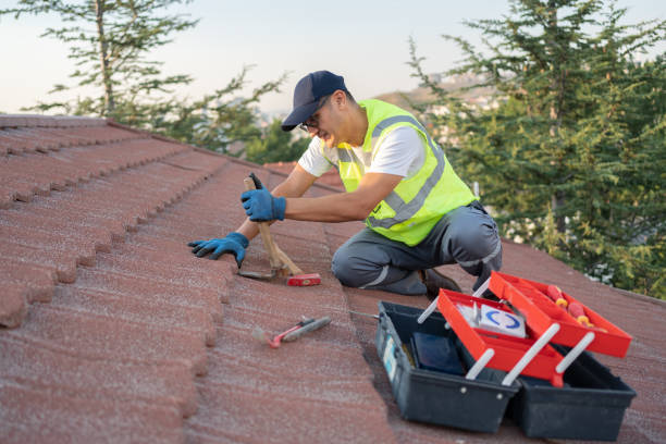 Best Storm Damage Roof Repair  in Fairview Ferndale, PA